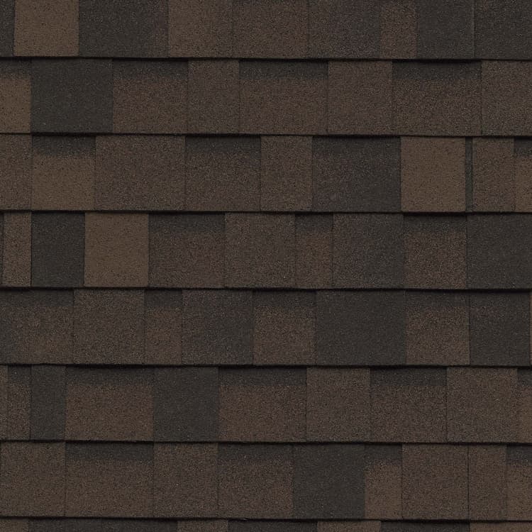 Shadow Brown